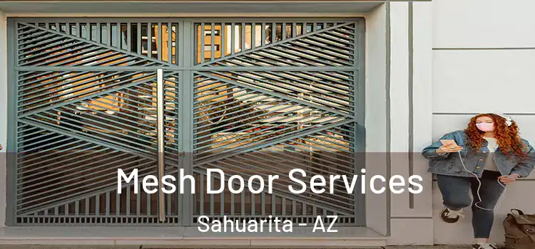 Mesh Door Services Sahuarita - AZ